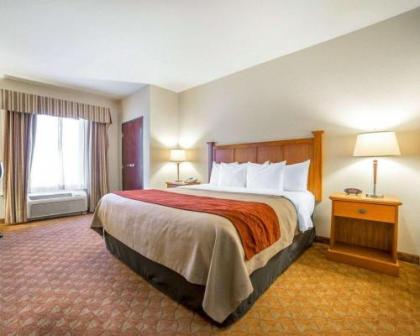 Comfort Inn & Suites Las Vegas - Nellis - image 1