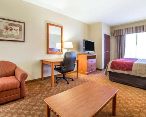 Comfort Inn & Suites Las Vegas - Nellis - image 2