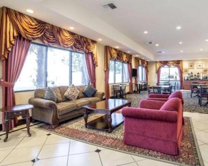 Comfort Inn & Suites Las Vegas - Nellis - image 3